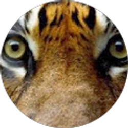 Profile photo of Robbin Pabst