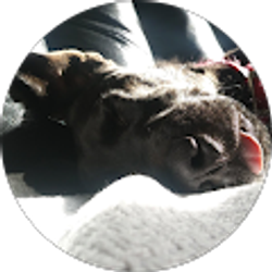 Profile photo of Emma Laurent