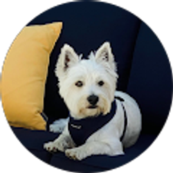 Profile photo of Tracie Hoyt