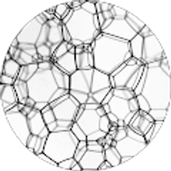 Profile photo of Madeline Ryals