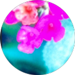 Profile photo of Tiffany Polk