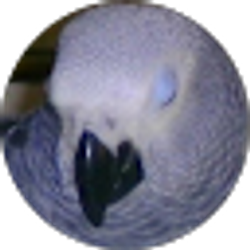 Profile photo of John LeCoumpte