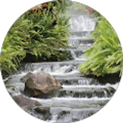 Profile photo of Steven Tucker