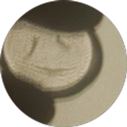 Profile photo of Peter Sanborn De Asis