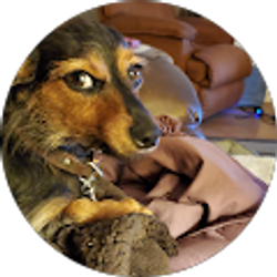 Profile photo of Mary Ortiz