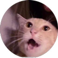 Profile photo of Kazi Sumona