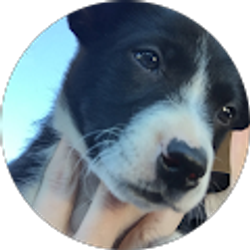 Profile photo of Rachel Getter