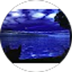 Profile photo of Jay Willis