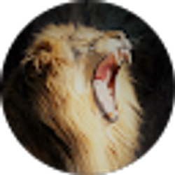 Profile photo of Mike Karp