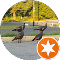 Profile photo of Greg Kubeja