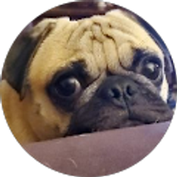 Profile photo of Justina M