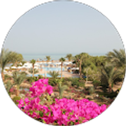 Profile photo of Shawn Chang