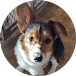 Profile photo of jeff and terese carter