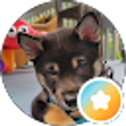 Profile photo of Raymond B