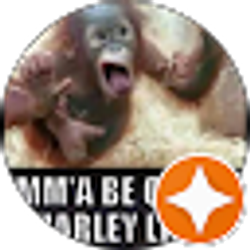 Profile photo of Michael Sargent