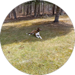 Profile photo of Laura Sulko