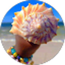 Profile photo of Seashell Queen Adventures