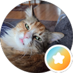 Profile photo of Butch