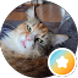 Profile photo of Butch