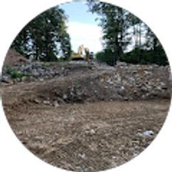 Profile photo of Louis Ferra