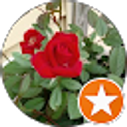 Profile photo of traci leed