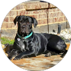 Profile photo of DeeDee May