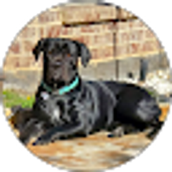 Profile photo of DeeDee May