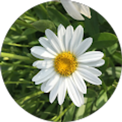 Profile photo of Abbey Shaner