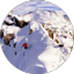 Profile photo of jsurkin1