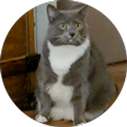 Profile photo of Richard B