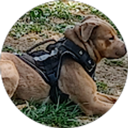 Profile photo of Paul Carr