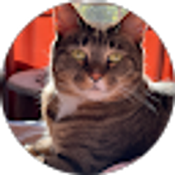 Profile photo of Jess