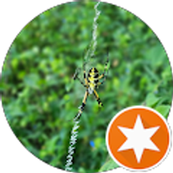 Profile photo of Laura Ellen