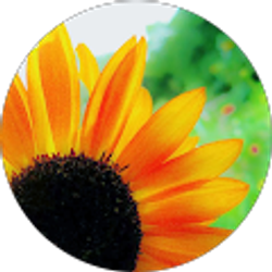 Profile photo of Teresa C