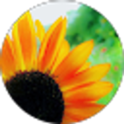 Profile photo of Teresa C