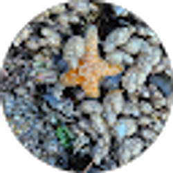 Profile photo of Tracey berscheid