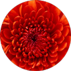 Profile photo of M and J