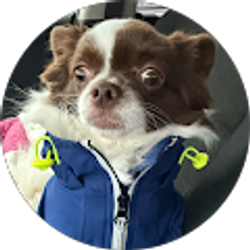 Profile photo of Brianna Sisterson