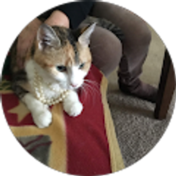 Profile photo of Julia Denbow