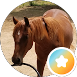 Profile photo of Mindy Habelt