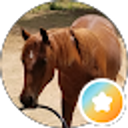 Profile photo of Mindy Habelt