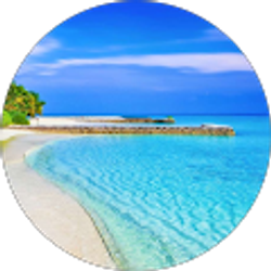 Profile photo of Judy Rolfing