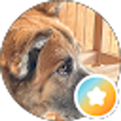 Profile photo of Kelly Kniss