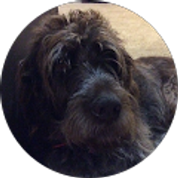 Profile photo of Brooks O'Brien