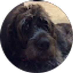 Profile photo of Brooks O'Brien