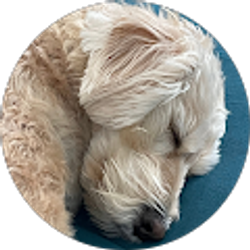 Profile photo of Julia C.