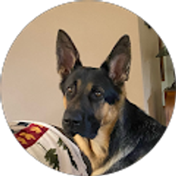 Profile photo of Karen Mohoff