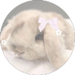 Profile photo of Aries black (lover_143)