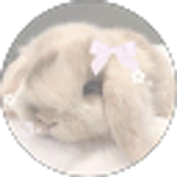 Profile photo of Aries black (lover_143)