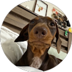 Profile photo of kelsi cangelosi